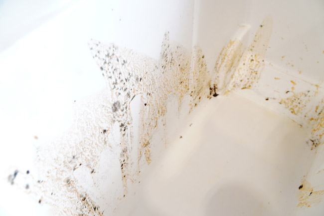 Mildew stained cooler before cleaning.