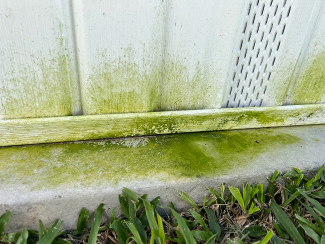 Mildew stained vinyl planks