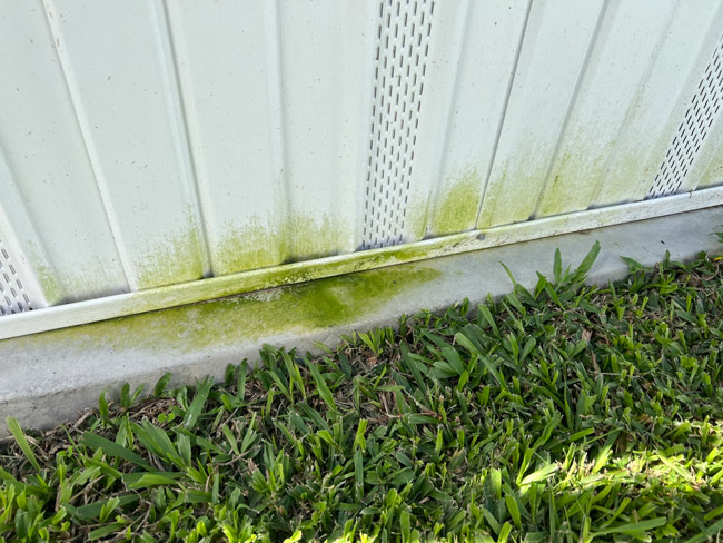 Mildew stained vinyl planks.