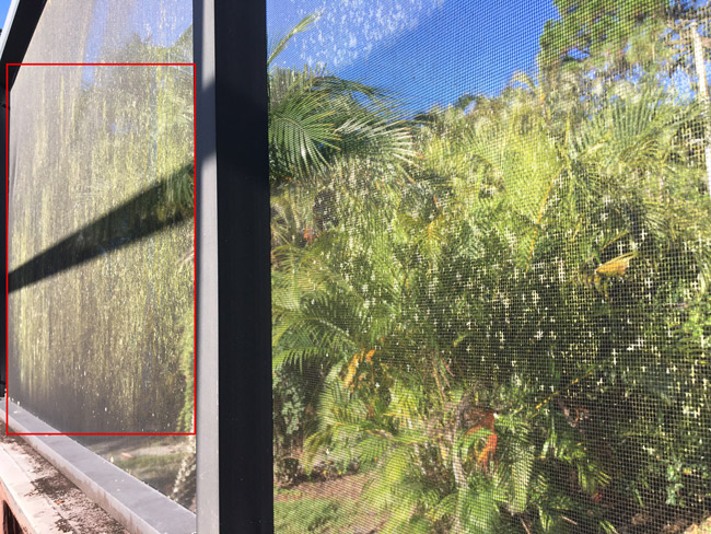 Screen with mildew stains