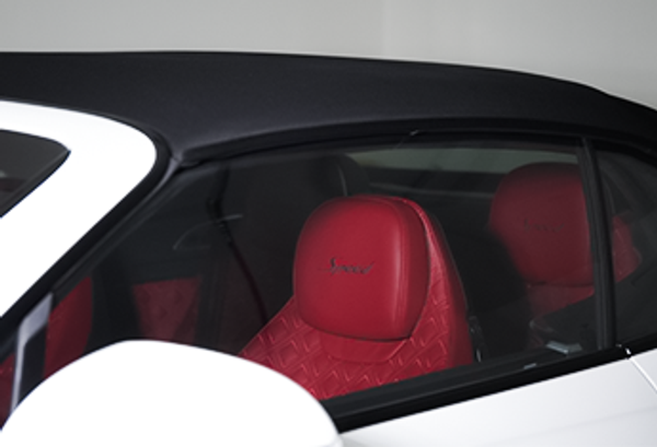 Convertible Top Care