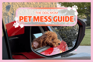 Paw-sitively Pristine: The Pet Mom's Guide to a Fur-Free & Fresh Car!