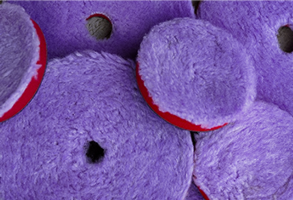 Foam, Microfiber & Wool Buffing Pads